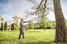 Best Seasonal Cleanup (Spring/Fall)  in Ivins, UT